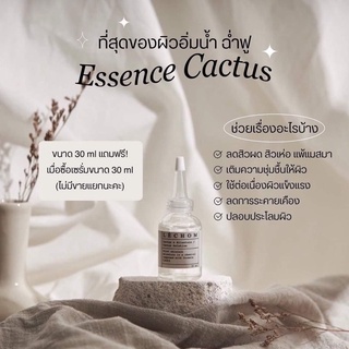 ภาพขนาดย่อของภาพหน้าปกสินค้าแท้100% เซรั่มเลอโฉม 1 แถม 1 Lechom Serum เลอโฉม ลดสิว รอยสิว ผิวเเพ้ง่ายใช้ได้ จากร้าน mychicha บน Shopee ภาพที่ 3