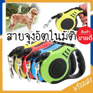 ภาพหน้าปกสินค้าMITI4 พร้อมส่ง สายจูง เชือกจูง สายจูงสุนัข สายจูงแมว สายจูงสัตว์เลี้ยง ยาว 5 เมตร ปรับยืดหดได้ มีระบบเบรคอัตโนมัติ ST071 ที่เกี่ยวข้อง