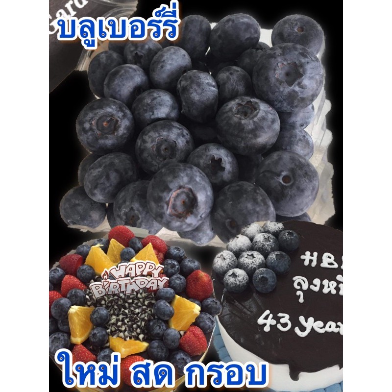 บลูเบอร์รี่สด-fresh-blueberry-ผลไม้นำเข้า-สดใหม่-ราคาถูก1400บ-12แพค-ตก116บ-ต่อแพค