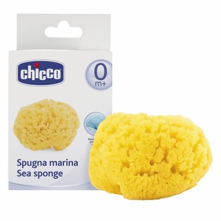 Chicco ฟองน้ำสำหรับเด็ก Sea Sponge Safe Hygiene