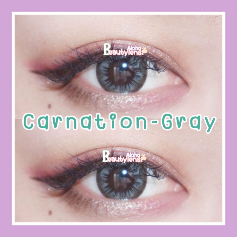 carnation-brown-gray-โตแบ๊ว-รายเดือน-มีแค่สายตาปกติ