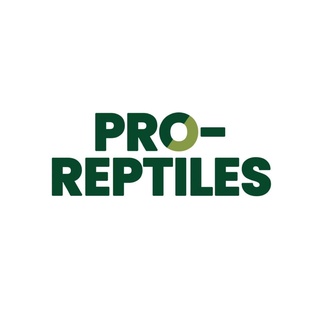 ภาพขนาดย่อของภาพหน้าปกสินค้าอาหารเต่าบก Pro-Reptiles สูตรออริจินอล (สีน้ำตาล) ถุง 1 กิโลกรัม จากร้าน hellozoo บน Shopee