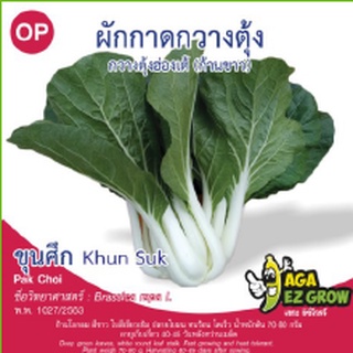 ผักกาดกวางตุ้งขุนศึก บรรจุ 0.15 กรัม [โปรโมชั่น ซื้อ10ซอง แถมฟรี 1ซอง]