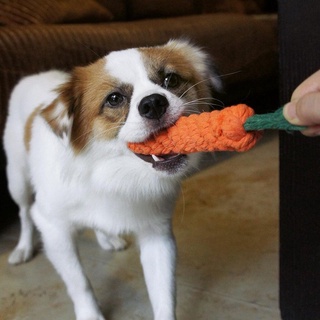 ภาพหน้าปกสินค้าOXYGEN เชือกกัดสุนัข รูปแครอท Dog Chewing Toy Carrot Rope ที่เกี่ยวข้อง