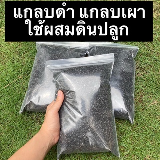 (พร้อมส่ง)แกลบดำ แกลบเผา ผสมดินปลูก ทำให้ดินร่วนดินซึมน้ำได้ดีขึ้น