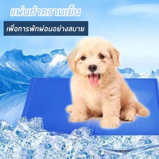 #B007 Pet Cool mat แผ่นทำความเย็น แผ่นเจลเย็น ที่นอนเย็น เบาะนอนเย็น สำหรับสุนัขและแมว ขนาดXS /S