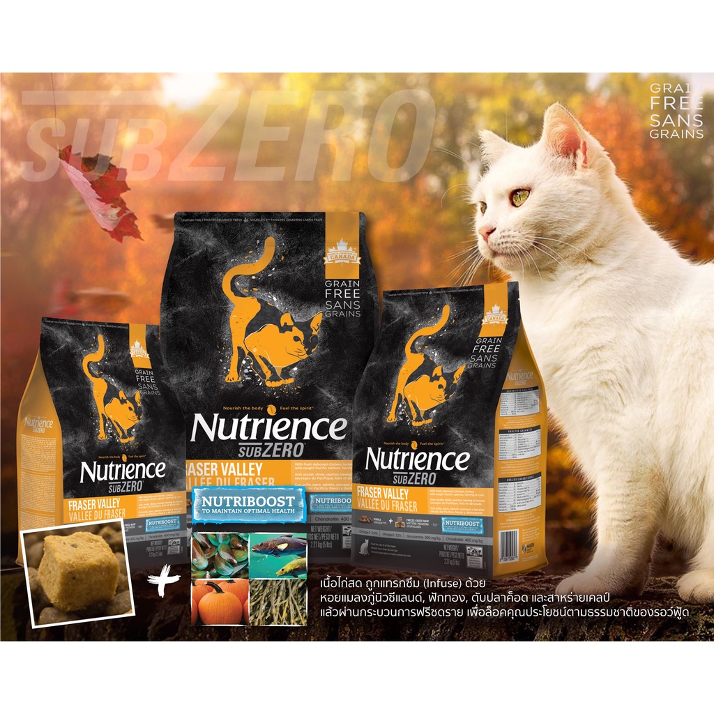 5kg-ฟรี-ฟรีซดราย1ถุง-nutrience-อาหารแมว-เม็ดผสมฟรีซดราย-sub-zeroโปรตีน-42-ใช้เนื้อล้วนไม่ผ่านการแช่แข็ง
