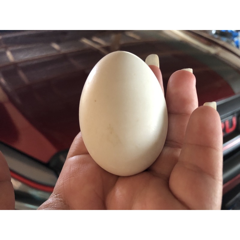 ภาพสินค้าไข่เป็ดเวียดนามแท้100% จากร้าน malisa_2557 บน Shopee ภาพที่ 8