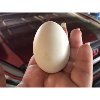 ภาพขนาดย่อของภาพหน้าปกสินค้าไข่เป็ดเวียดนามแท้100% จากร้าน malisa_2557 บน Shopee ภาพที่ 8