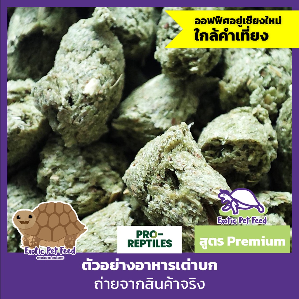 อาหารเต่าบก-pro-reptiles-สูตรพรีเมี่ยม-ไฟเบอร์สูง-1-กิโลกรัม