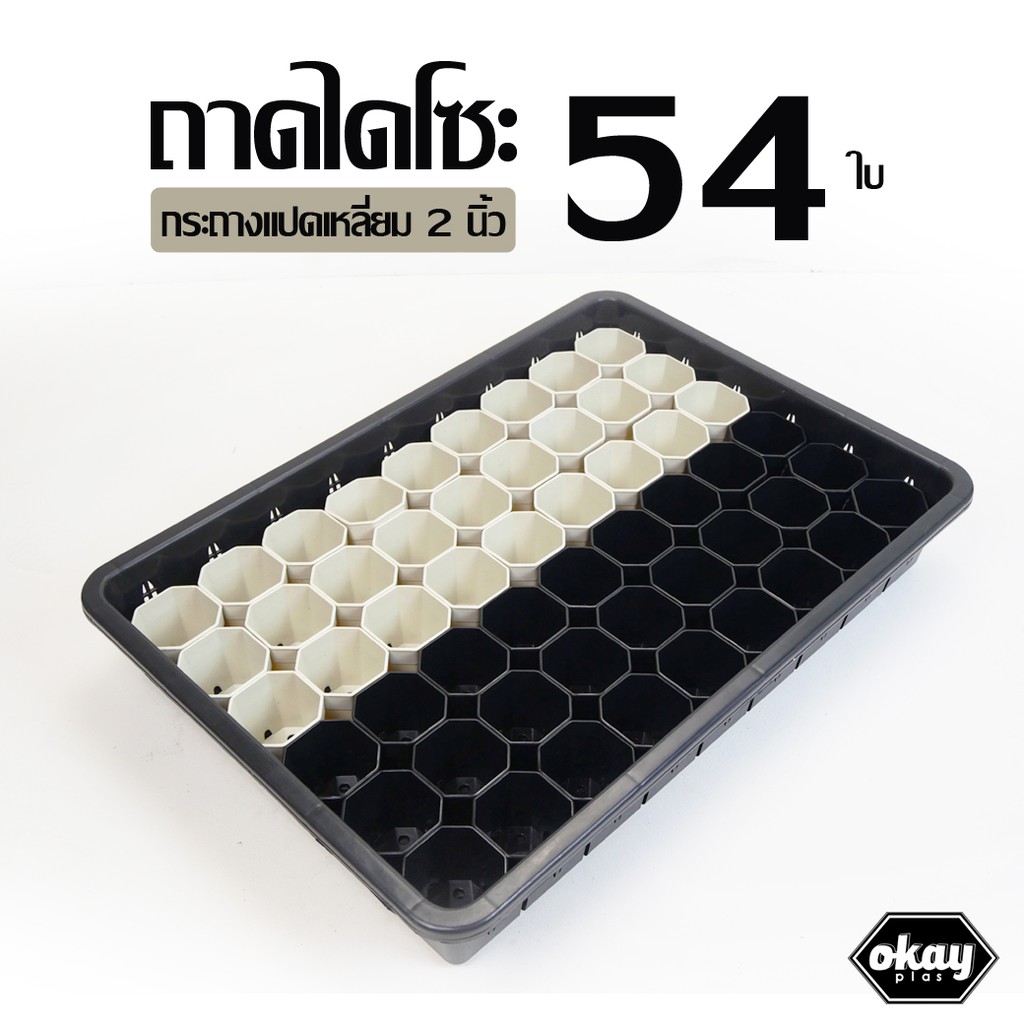 Okay plas set ถาดไดโซะ 19 นิ้ว + กระถางแปดเหลี่ยม 2 นิ้ว 54 ใบ | Shopee ...