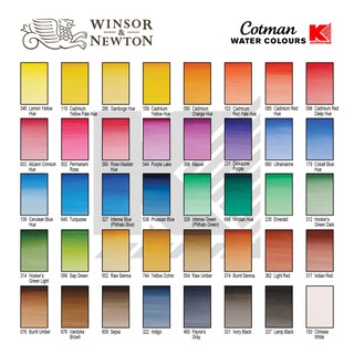 ภาพขนาดย่อของภาพหน้าปกสินค้าสีน้ำ Winsor & Newton Cotman 40 สี ขนาด 8 ml. ชุด 1 จากร้าน stationerydonmuang บน Shopee