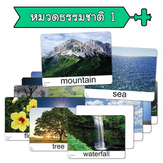 สินค้า แฟลชการ์ด หมวดธรรมชาติ 1 Nature  บัตรคำ แนวการสอนเดียวกับ ชิจิดะ เฮกุรุ บัตรคำศัพท์  Flashcard