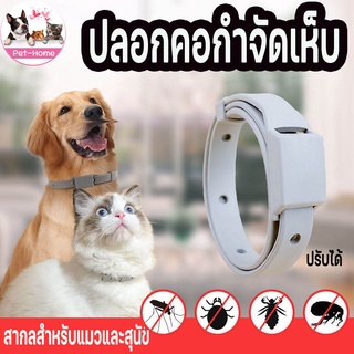 ภาพหน้าปกสินค้า(พร้อมส่ง🐱) ปอกคอหมา ปอกคอแมวติ ปลอกคอกำจัดเห็บ ปลอกคอสัตว์เลี้ยง กันเห็บหมัด สำหรับสุนัขและแมว ซึ่งคุณอาจชอบสินค้านี้