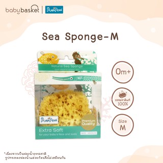 ฟองน้ำธรรมชาติ 100% ถนอมผิวเด็ก Punapena Sea Sponge Honeycomb ขนาด M อ่อนโยน บริสุทธิ์สำหรับทารก