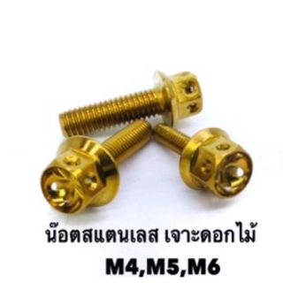 น๊อตเลสทอง-เลสน้ำเงิน หัวเจาะดอกไม้ 5x12-5x30 เบอร์ 8