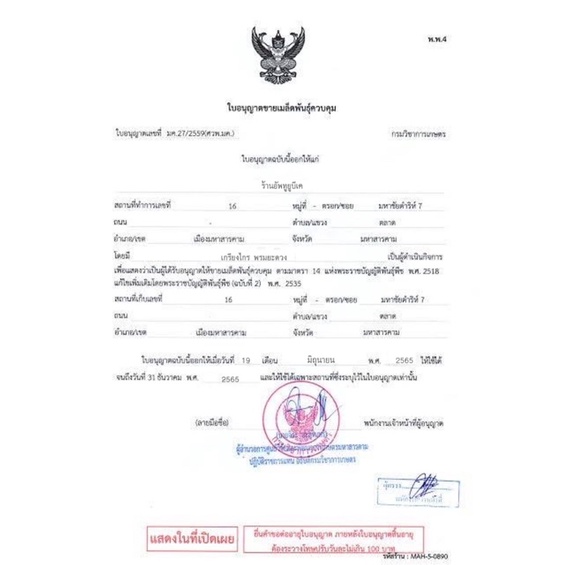 auto-ak47-เมล็ดพันธุ์นอก-บรรจุ-5-เมล็ด-แท้100-รับประกันสายพันธุ์-คัดเพศเมีย