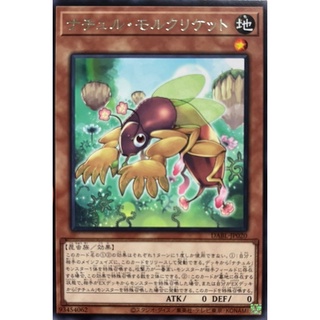 [DABL-JP020] Naturia Molcricket (Rare)