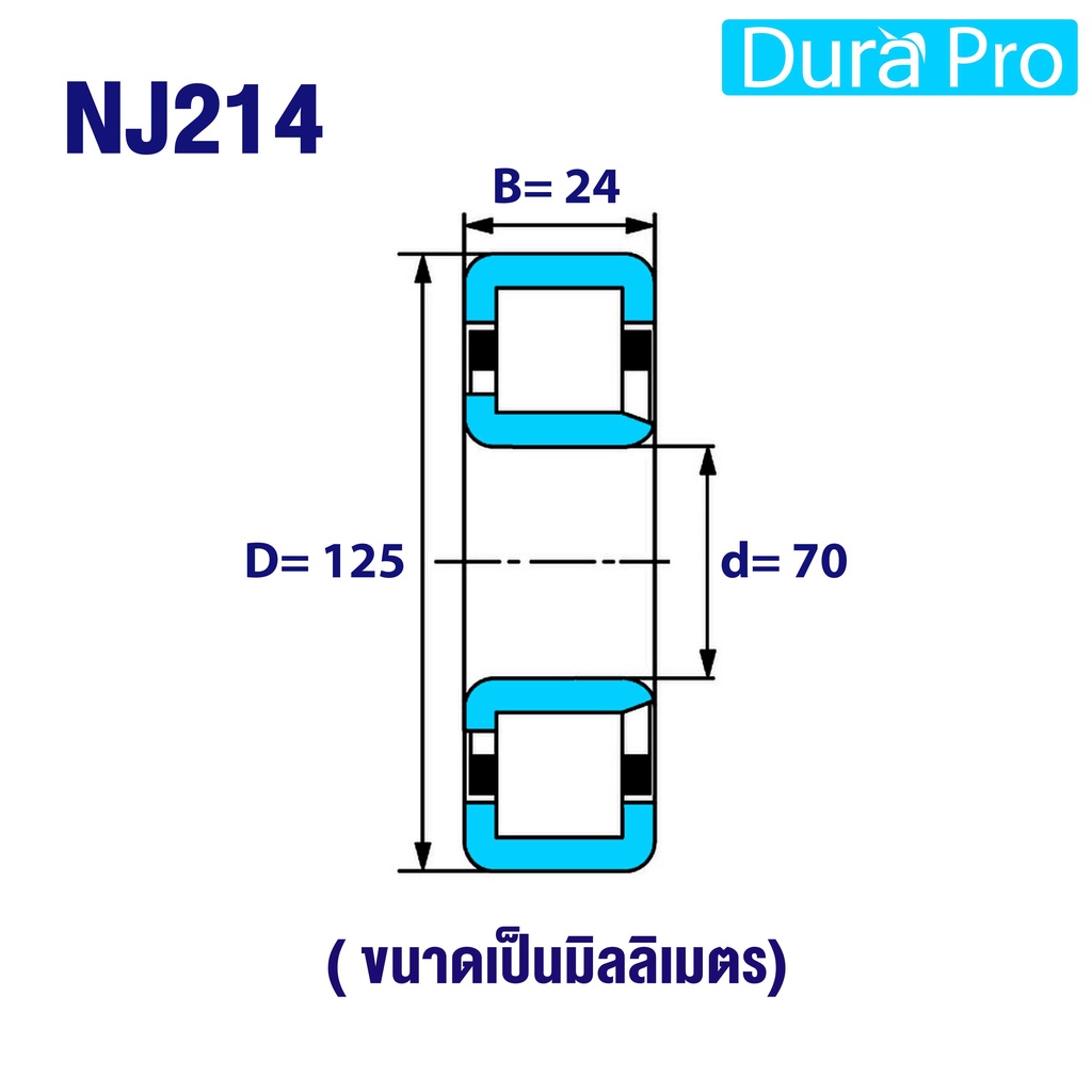 nj214-nj215-nj216-nj217-nj218-nj219-ตลับลูกปืนเม็ดทรงกระบอก-cylindrical-roller-bearings-nj-214-nj-219-n-nj-nu-nf