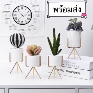 ภาพหน้าปกสินค้าพร้อมส่ง.［Becky home shop］แจกันดอกไม้แบบเซรามิกสีทอง + สีขาวเซรามิก ที่เกี่ยวข้อง