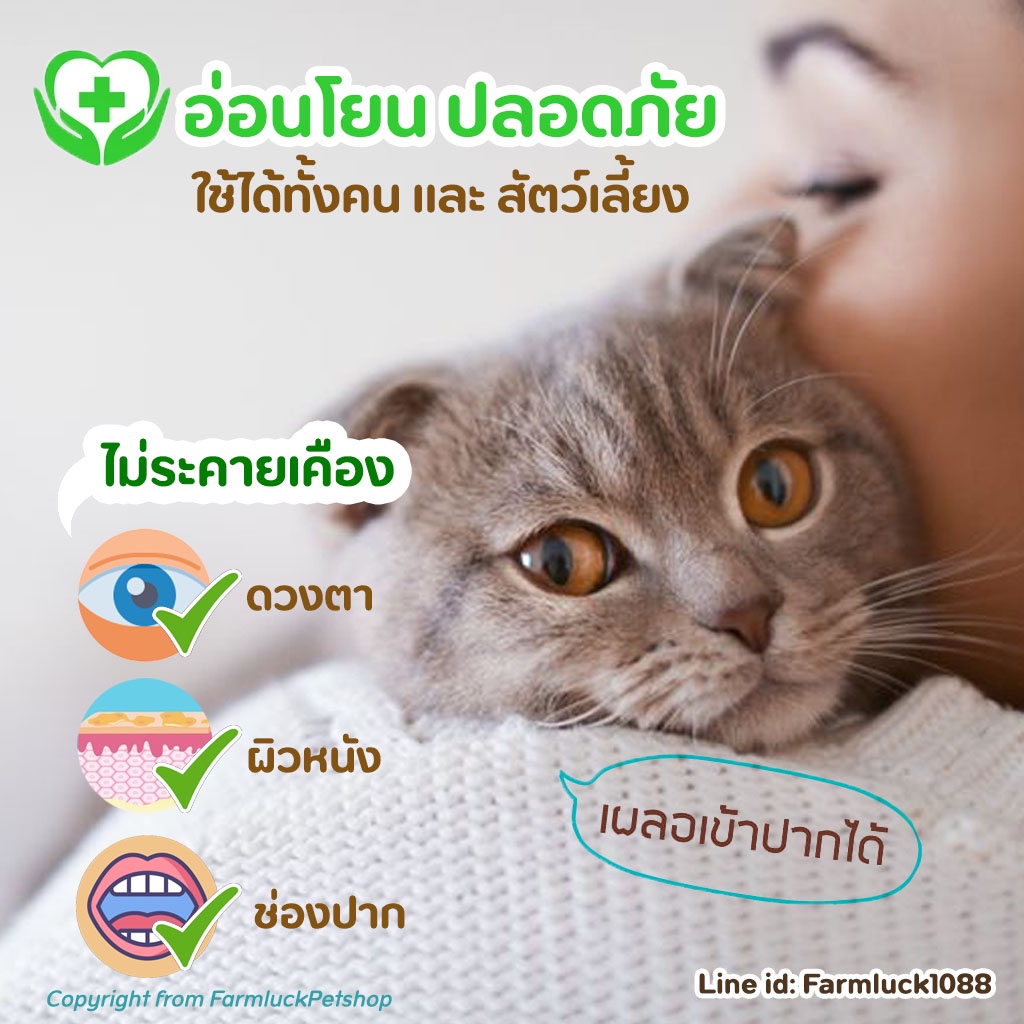 hana-pet-สเปรย์กำจัดกลิ่น-misty-fresh-กำจัดเชื้อโรค-สเปรย์ดับกลิ่น-ทรายแมว-ของเล่น-ที่นอน
