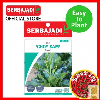 SERBAJADI Vegetable Seed Hybrid Choy Sam - Sawi Biji Benih Tanam/Plant/Gardening/Sayur [EASY GROW]เมล็ดพืช/ทานตะวัน/​​กร