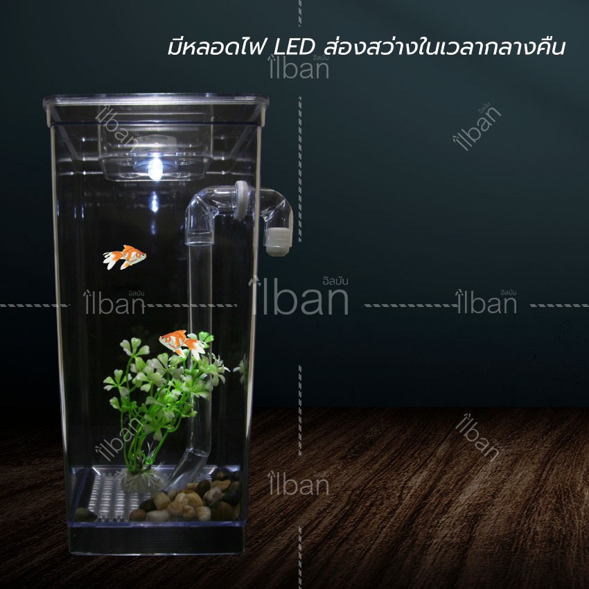 elit-ตู้ปลามินิ-พร้อมไฟ-led-my-fun-fish-cleaning-tank-รุ่น-mft02-iy