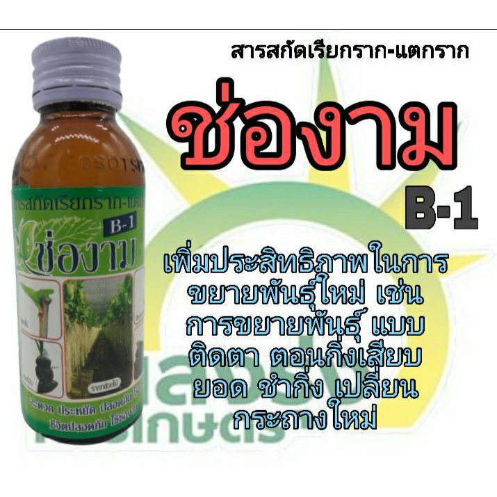 ผลิตภัณฑ์สารสกัดเรียกราก-แตกรากตราช่องามb-1ปริมาณสุทธิ100ซีซี