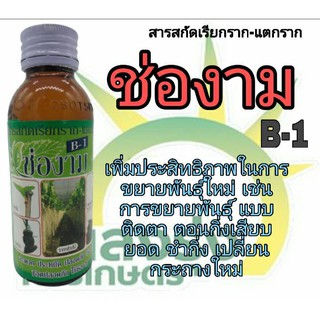 ผลิตภัณฑ์สารสกัดเรียกราก-แตกรากตราช่องามB-1ปริมาณสุทธิ100ซีซี