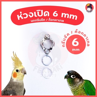 ห่วงขานก ห่วงเปิดคล้องขานก 6 mm🔥พร้อมส่ง!!!🦜ห่วงขานกแก้ว ค๊อกคาเทล กรีนชีค