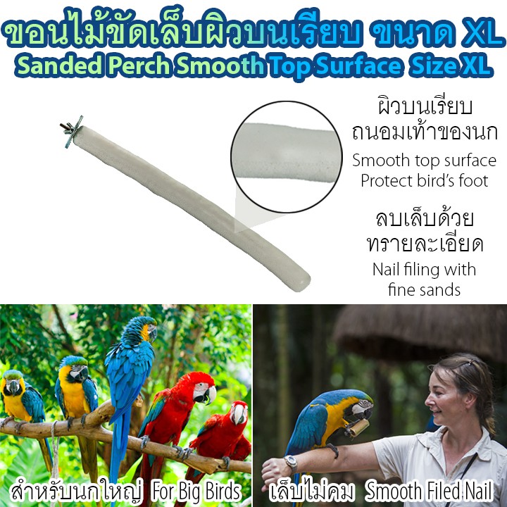 ขอนไม้ลับเล็บ-ขอนไม้ตรง-ผิวบนเรียบ-ขนาด-xl