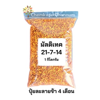 มัลติเทค สูตร 24-7-14 บำรุงการเจริญเติบโตระยะแรก เร่งการแตกหน่อแตกใบ-ขนาดบรรจุ 1 กิโลกรัม