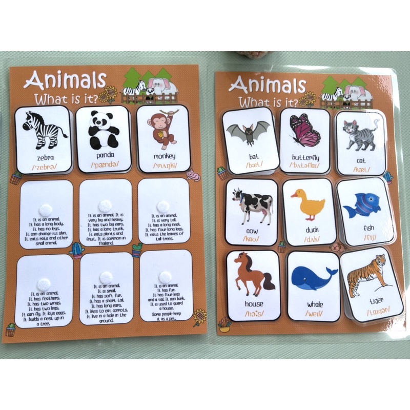 animal-what-is-it-สื่อภาษาอังกฤษ