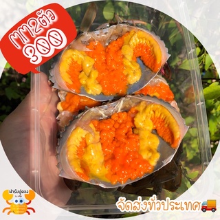 สินค้า ปูไข่ดองน้ำปลากวนไซส์ MM ไข่แน่นไปทั้งตัวทั้งกระดอง