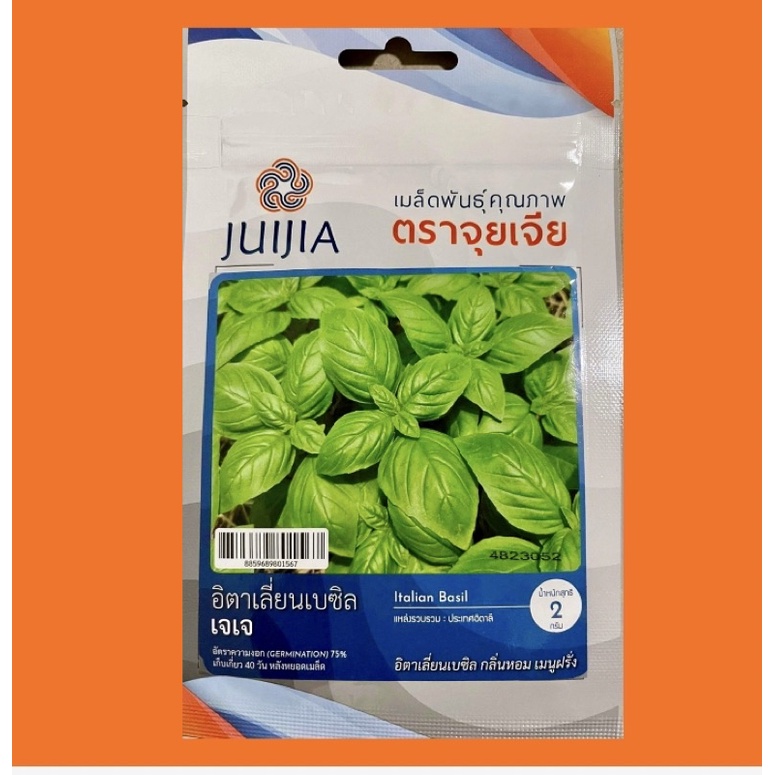 โหระพา-อิตาเลี่ยน-เบซิล-italian-basil-2-กรัม