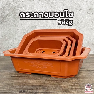 สินค้า กระถางบอนไซ #สีอิฐ กระถางสี่เหลี่ยมผืนผ้า กระถางทรงเตี้ย กระถางพลาสติก กระถางต้นไม้