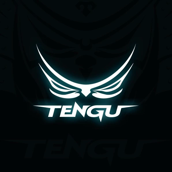 โลโก้ร้าน Tengu Gaming Gears