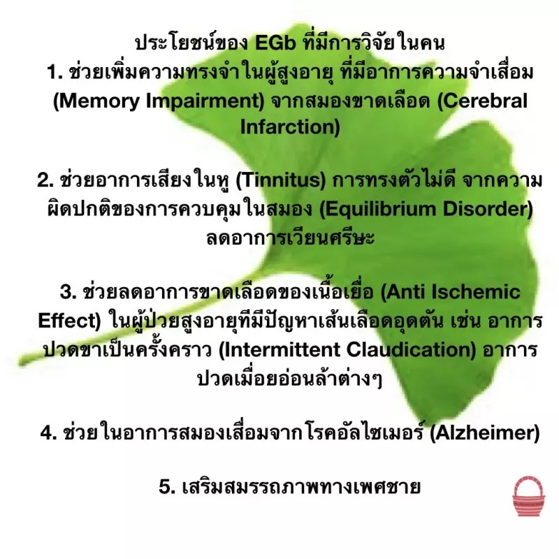 จิงโกลา-ผลิตภัณฑ์เสริมอาหาร-สารสกัดจากใบแปะก๊วย-ชนิดแคปซูล-ตรา-กิฟฟาริน-giffarine-ginkola-แพ็ก-1-กระปุก