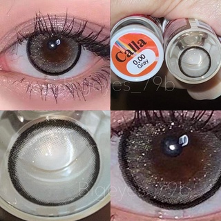 ✨Gray ขนาดตาโต (Bigeyes) สายตาปกติ สายตาสั้น ☀️กรองแสง uv ✔️จดทะเบียนถูกต้อง 🇰🇷คอนแทคเลนส์สัญชาติเกาหลี🇰🇷
