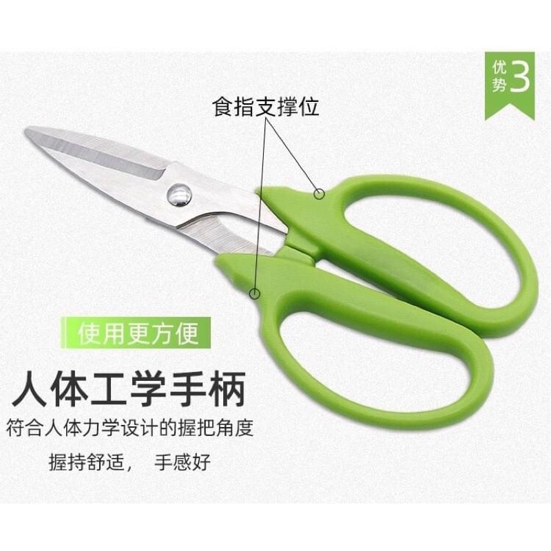 gardening-series-stainless-steel-scissors-กรรไกรตัดตกแต่งกิ่งไม้