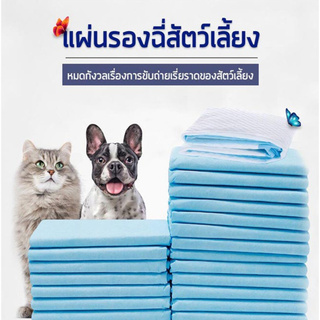 ภาพหน้าปกสินค้าHC-17 แผ่นรองฉี่สุนัขและแมว แพมเพิสหมา แผ่นรองซับ แผ่นซับฉี่ ผ้าลองฉี่หมา แผ่นรองซับสุนัข กระดาษรองฉี่ ที่เกี่ยวข้อง