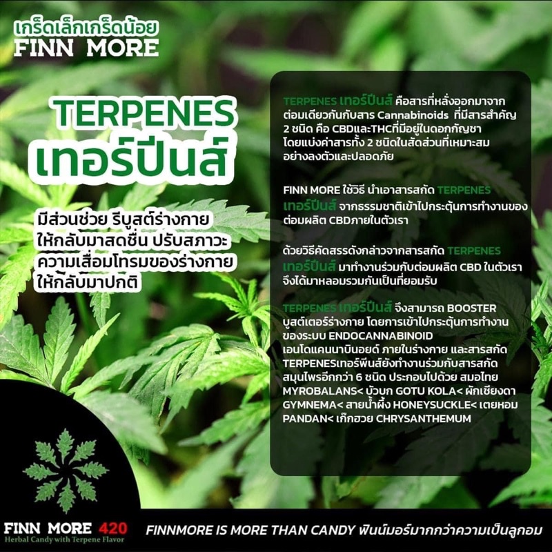 ส่งฟรี-ของแท้-ลูกอมอารมณ์ดี-finn-more-420-with-terpene-ลูกอม-สมุนไพร-กลิ่น-เทอร์ปีน