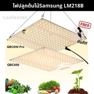 ภาพหน้าปกสินค้า🔥พร้อมส่ง🔥 ไฟปลูกต้นไม้ LED LM281B Quantum 650W Full Spectrum grow light ปลูกพืช ที่เกี่ยวข้อง