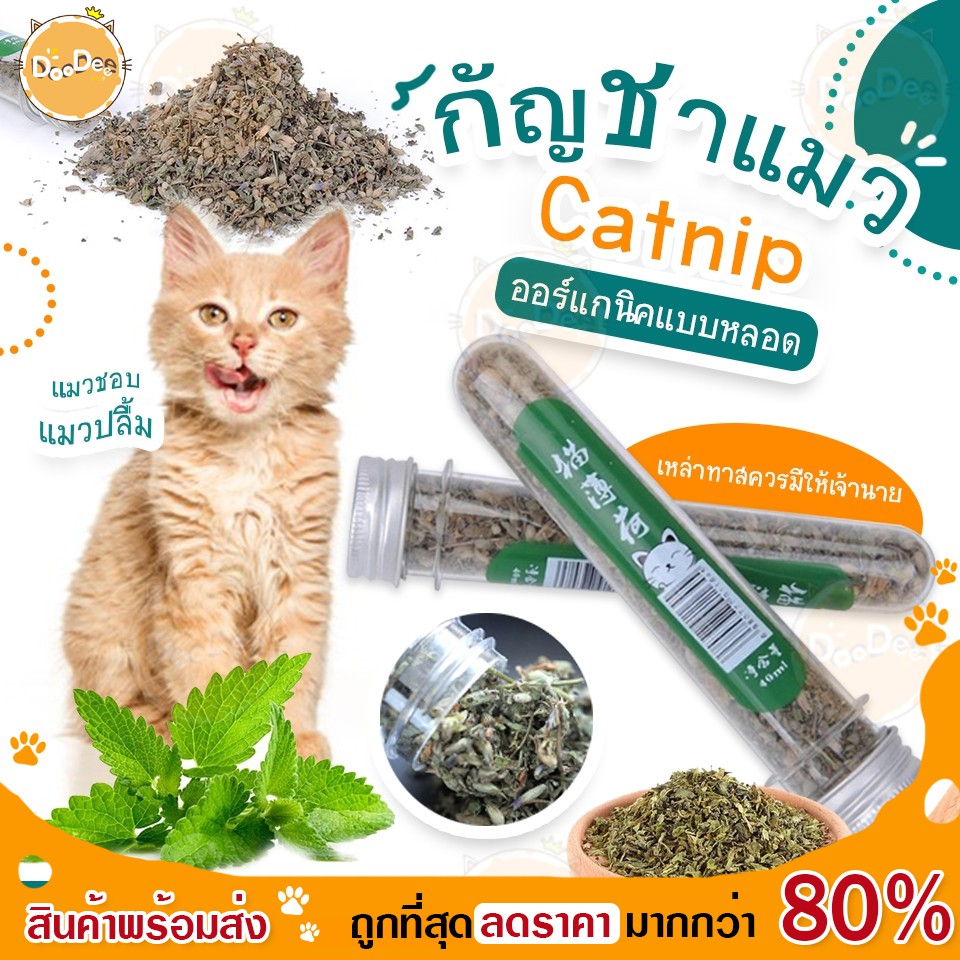 doodee-สมุนไพรแมว-catnip-แคทนิปสมุนไร-แคทนิปแมว-ออร์แกนิคแบบหลอด-ช่วยผ่อนคลายให้น้องแมว