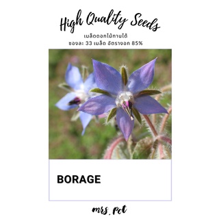 เมล็ดดอกไม้กินได้ โบราจ (Borage)