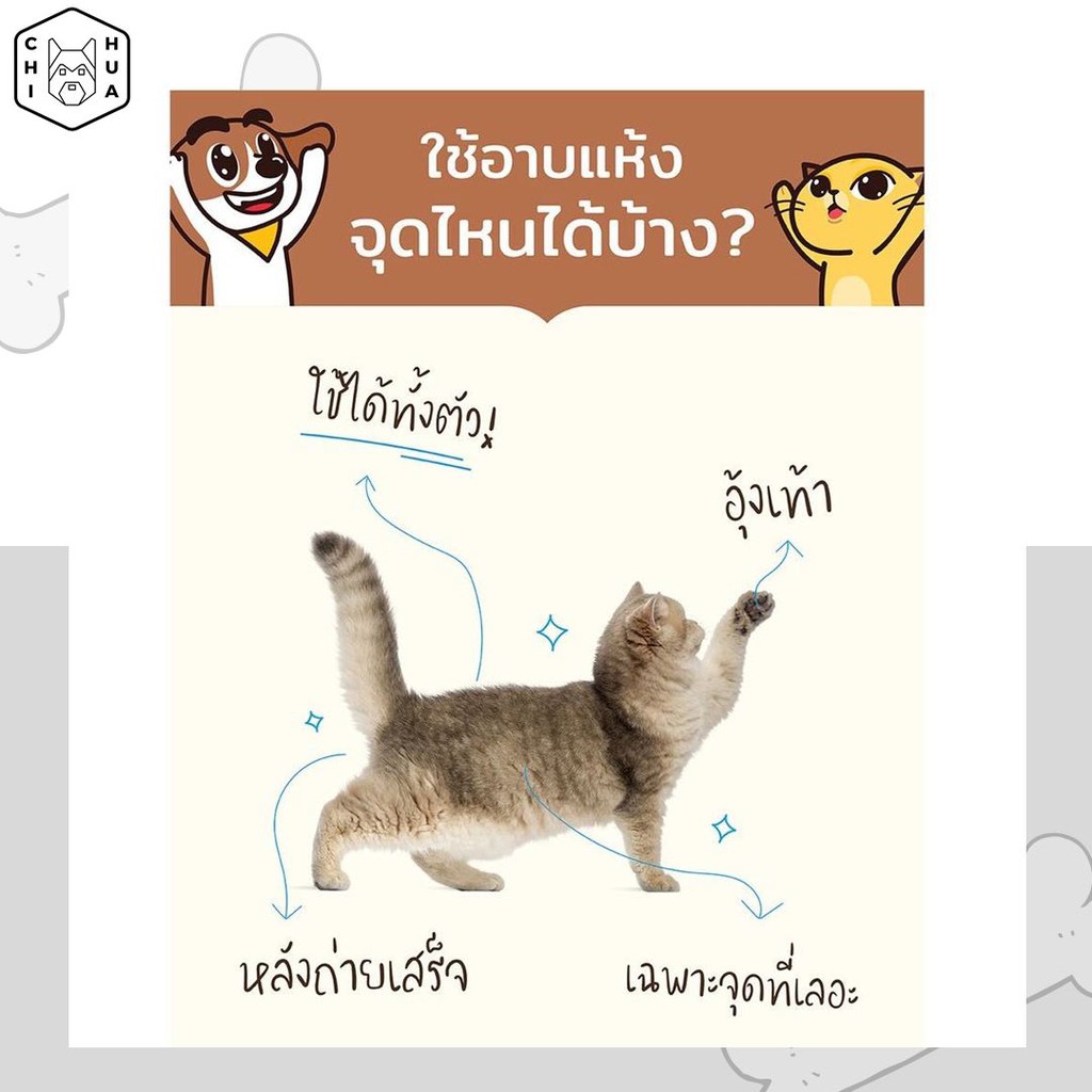 hana-pet-แชมพูอาบน้ำแห้งสุนัขและแมว-กลิ่นตัวหอม-ขนนุ่มทันทีหลังใช้