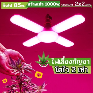 หลอดไฟปลูกผักไฮโดรโปนิกส์ ขั้วเกลียว E27 LED Grow Light ประหยัดไฟ ช่วยการเจริญเติบโตของพืช ปลูกต้นไม้ภายในอาคาร