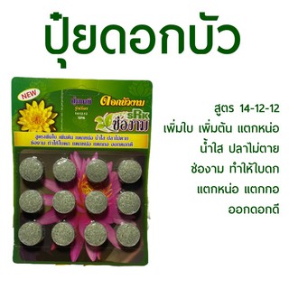 ปุ๋ยดอกบัว สูตร 14-12-12 เพิ่มใบ เพิ่มต้น แตกหน่อ น้ำใส ปลาไม่ตาย ช่องาม ทำให้ใบดก แตกหน่อ แตกกอ ออกดอกดี