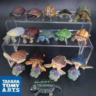 โมเดล กาชาปอง เต่า งานแท้ Takara Tomy A.R.T.S ขนาด 4-6 Cm พร้อมใบปิดทุกตัว งานสวยสมจริงมากๆ ราคาถูก พร้อมส่งทันที