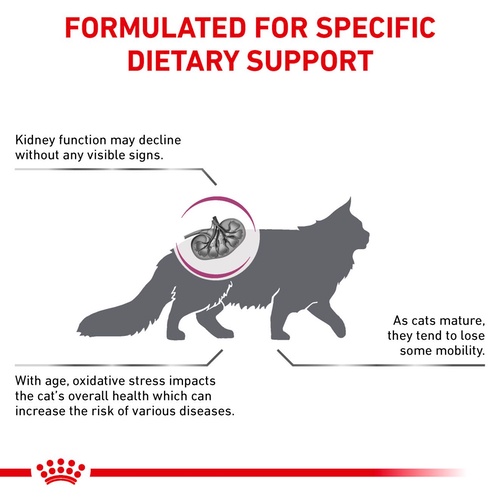อาหารแมว-royal-canin-early-renal-renal-อาหารประกอบการรักษาโรค-แมวโรคไตระยะเริ่มต้น-และแมวโรคไต-2-kg-และ-4-kg